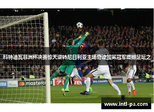 科特迪瓦非洲杯决赛惊天逆转尼日利亚主场奇迹加冕冠军震撼足坛之