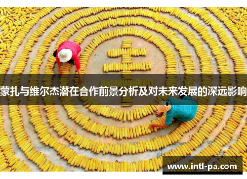 蒙扎与维尔杰潜在合作前景分析及对未来发展的深远影响 蒙扎与维尔杰潜在合作前景分析及对未来发展的深远影响