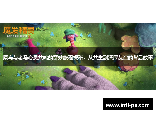 魔鸟与老马心灵共鸣的奇妙旅程探秘：从共生到深厚友谊的背后故事
