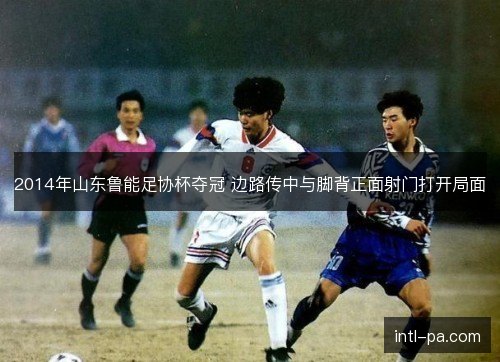 2014年山东鲁能足协杯夺冠 边路传中与脚背正面射门打开局面